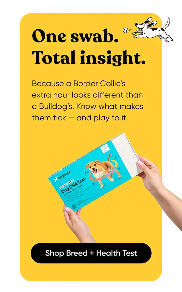 Personalization starts with DNA. Because a Border Collie's extra hour looks different than a Bulldog's. Know what makes them tick—and play to it. Shop Breed + Health Test.
