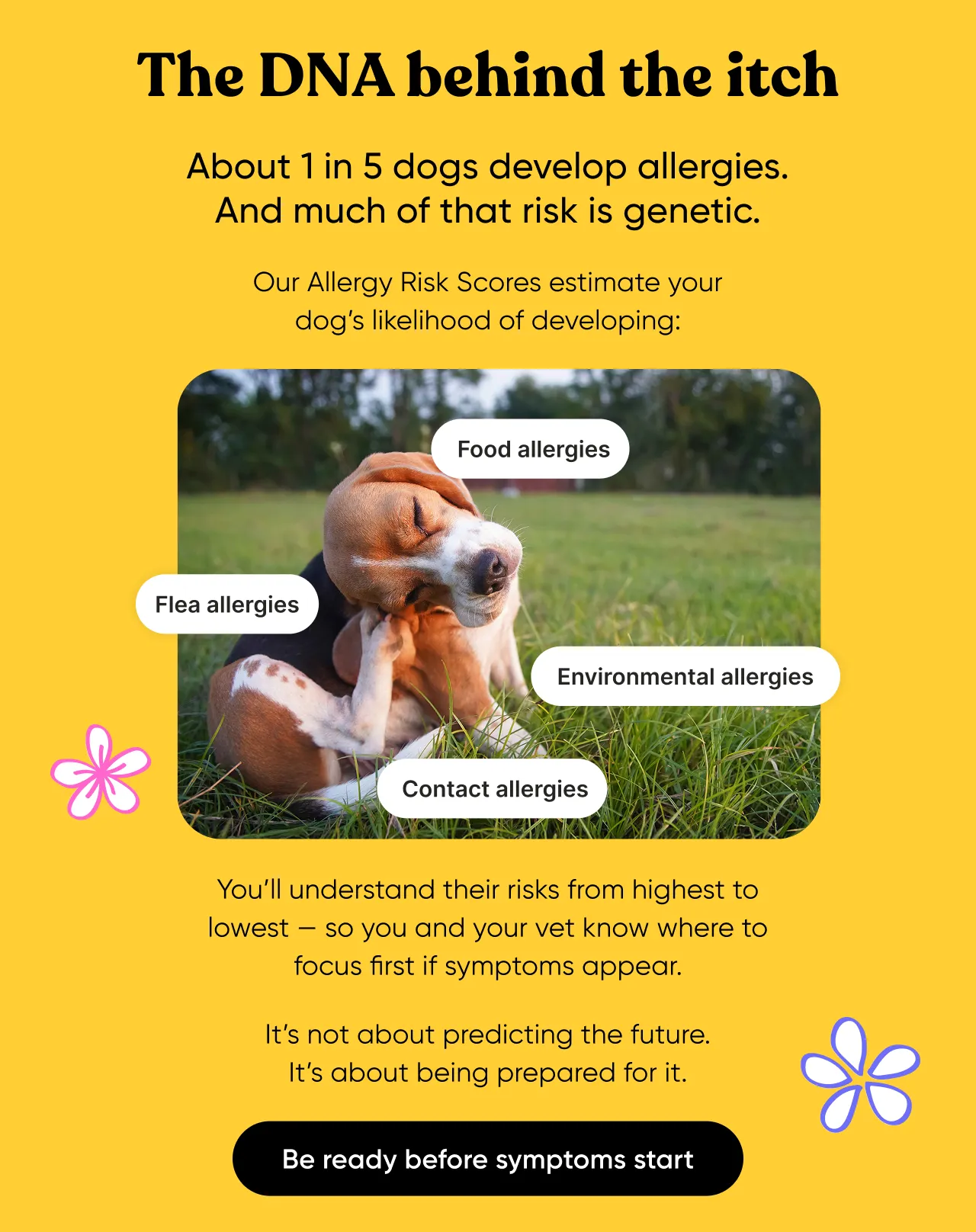 The DNA behind the itch. About 1 in 5 dogs develop allergies. And much of that risk is genetic. Our Allergy Risk Scores estimate your dog's likelihood of developing food, flea, contact and environmental allergies. You'll understand their risks from highest to lowest—so you and your vet know where to focus first if symptoms appear. It's not about predicting the future. It's about being prepared for it. Be ready before symptoms start.