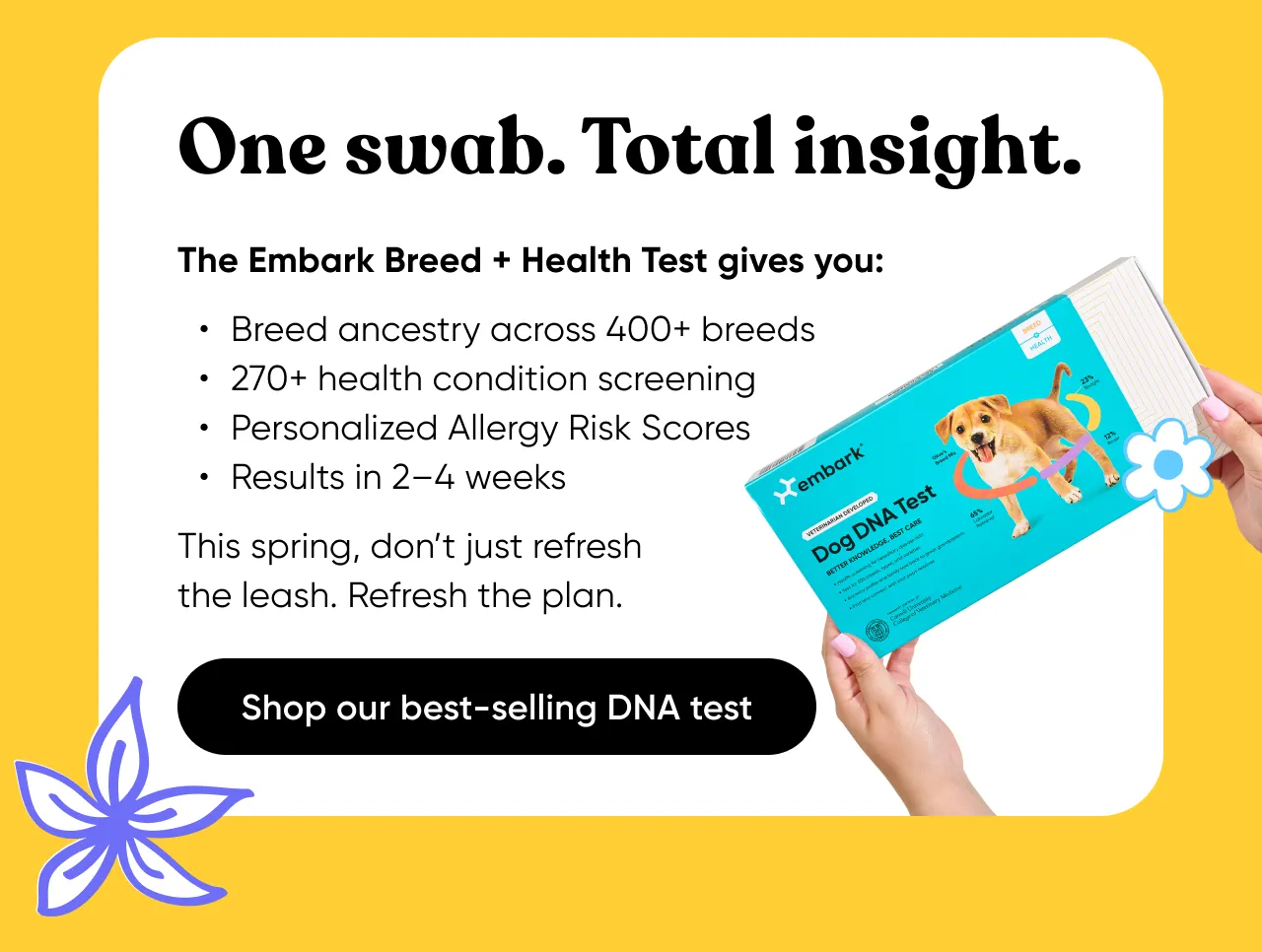 One swab. Total insight. The Embark Breed + Health Test gives you: breed ancestry across 400+ breeds, 270+ health condition screening, personalized Allergy Risk Scores, results in 2-4 weeks. This spring, don't refresh the leash. Refresh the plan.