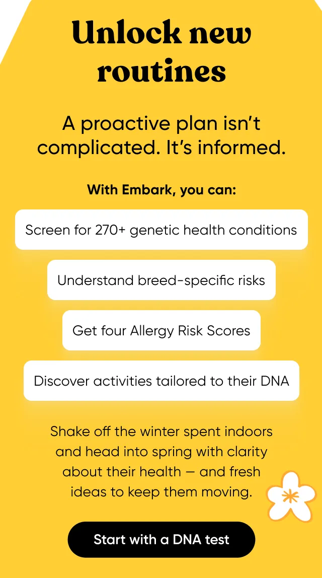 Unlock new routine. A proactive plan isn't complicated. it's informed. With Embark, you can: screen for 270+ genetic health conditions, understand breed-specific risks, get four Allergy Risk Scores, discover activities tailored to their DNA. Shake off the winter spent indoors and head into spring with clarity about their health—and fresh ideas to keep them moving. Start with a DNA test.