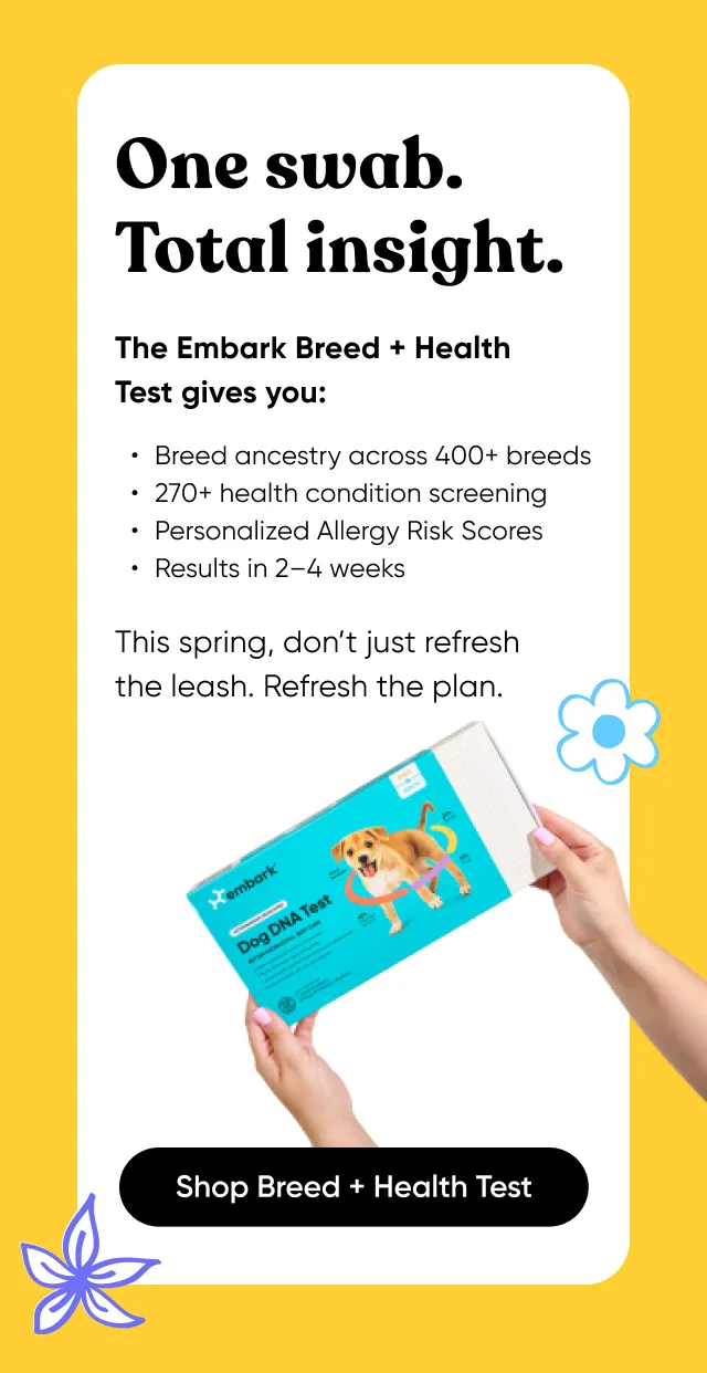 One swab. Total insight. The Embark Breed + Health Test gives you: breed ancestry across 400+ breeds, 270+ health condition screening, personalized Allergy Risk Scores, results in 2-4 weeks. This spring, don't refresh the leash. Refresh the plan.