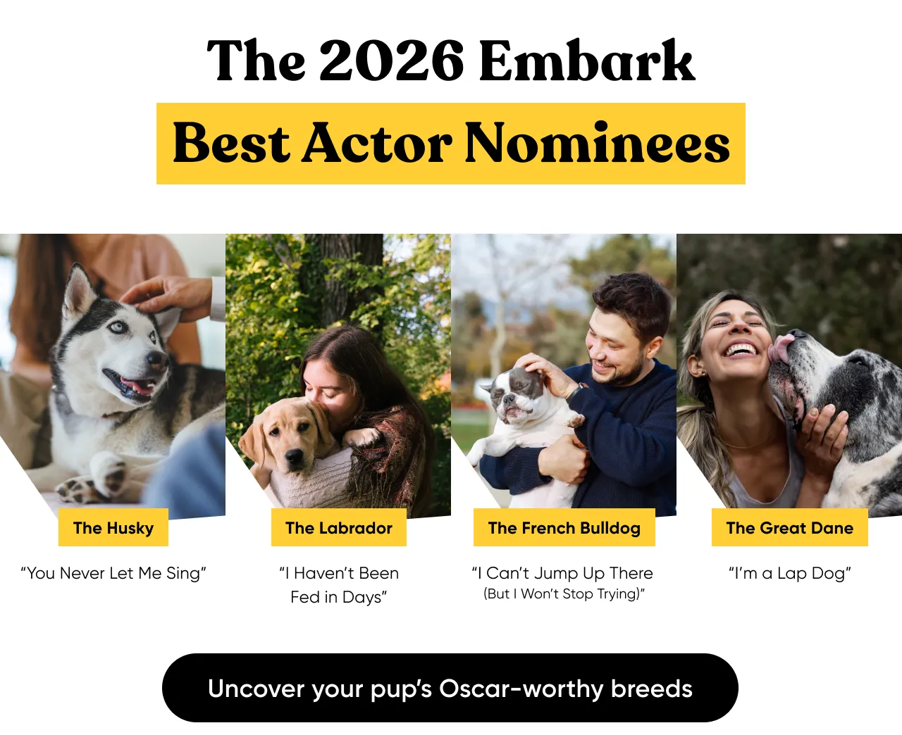 Uncover your pup's Oscar-worthy breeds