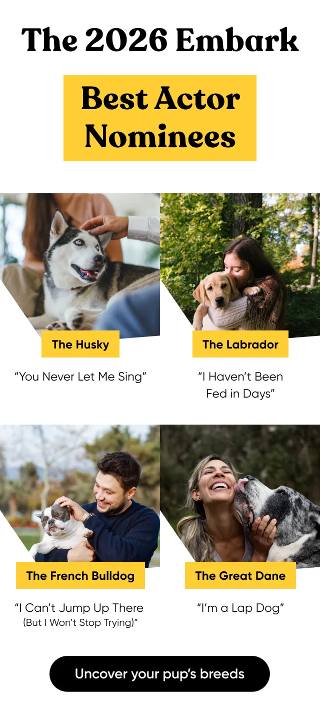 Uncover your pup's Oscar-worthy breeds