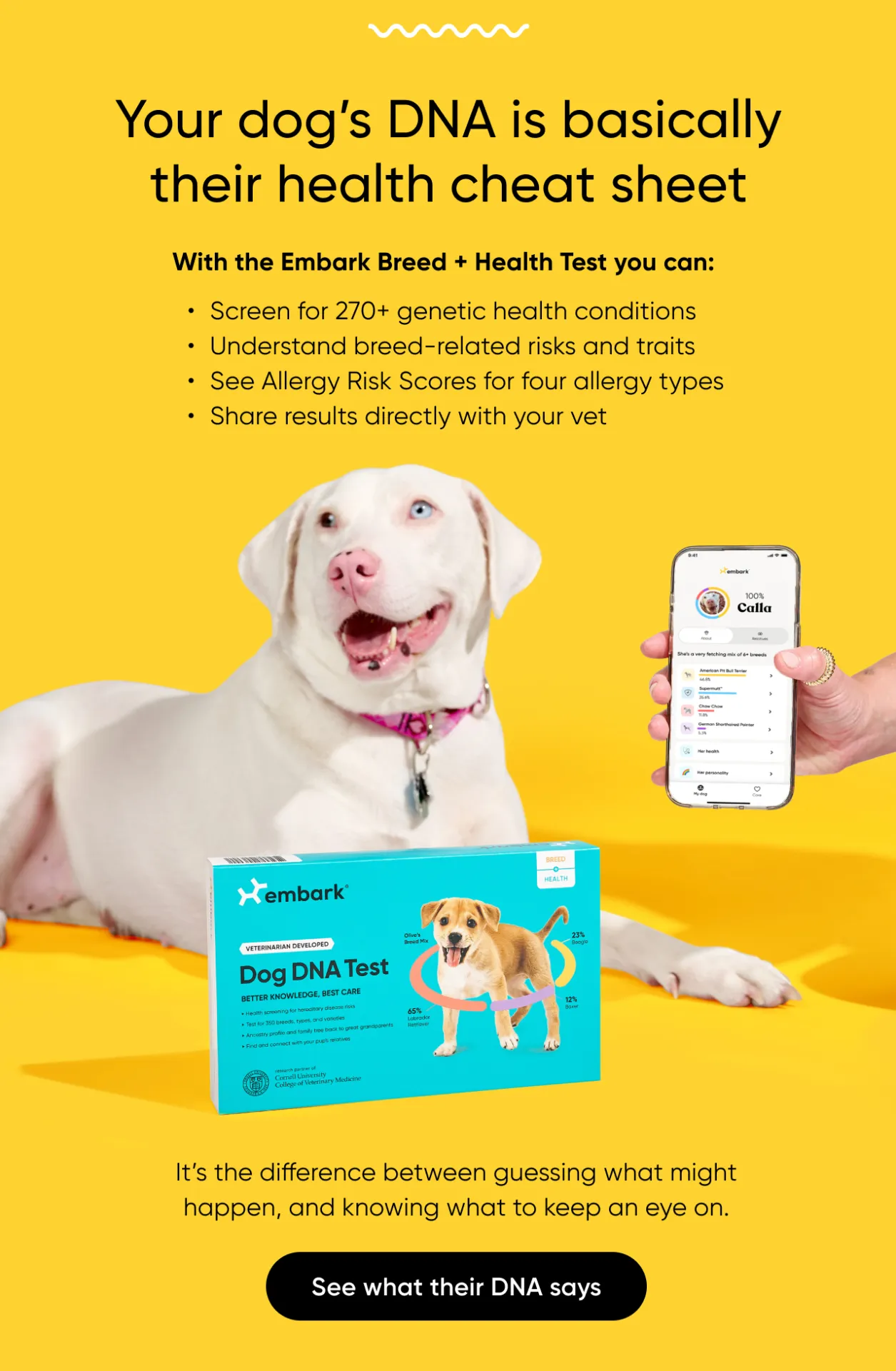Your dog's DNA is basically their health cheat sheet. With the Embark Breed + Health Test you can: screen for 270+ genetic health conditions, understand breed-related risks and traits, see Allergy Risk Scores for four allergy types, Share results directly with your vet. It's the difference between guessing what might happen, and knowing what to keep an eye on. See what their DNA says.
