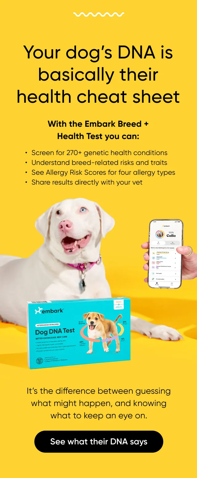 Your dog's DNA is basically their health cheat sheet. With the Embark Breed + Health Test you can: screen for 270+ genetic health conditions, understand breed-related risks and traits, see Allergy Risk Scores for four allergy types, Share results directly with your vet. It's the difference between guessing what might happen, and knowing what to keep an eye on. See what their DNA says.