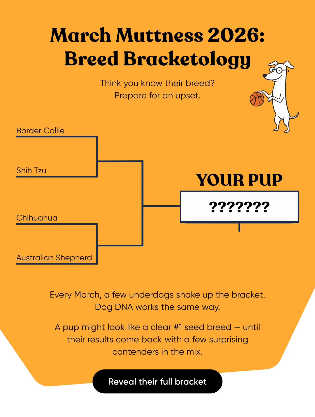 March Muttness 2026: Breed Bracketology. Thank you know their breed? Prepare for the upset. Every March, a few underdogs shake up the bracket. Dog DNA works the same way. A pup might look like a clear #1 seed breed until their results come back with a few surprising contenders in the mix. Reveal their full bracket.