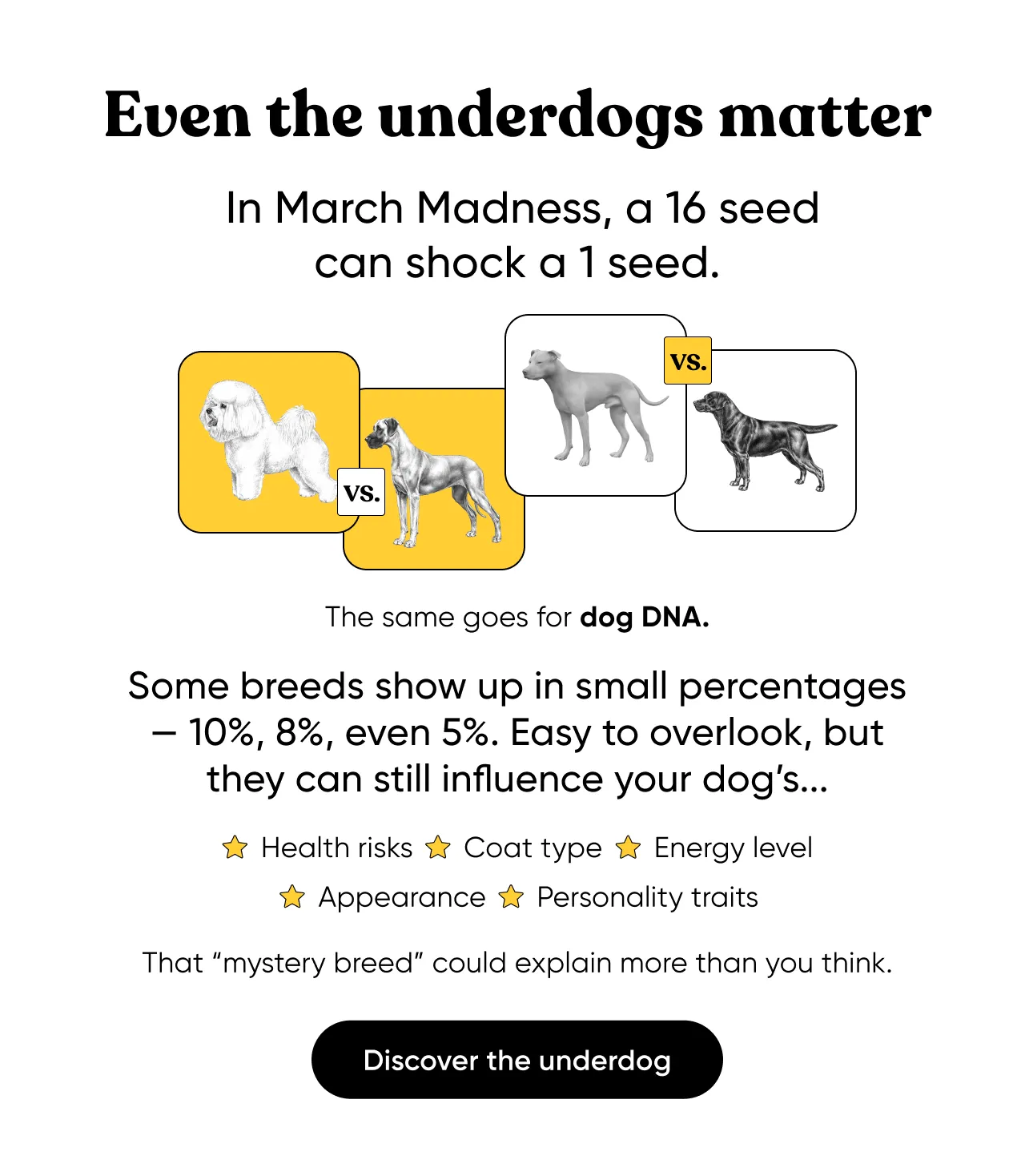Even the underdogs matter. In March Madness, a 16 seed can shock a 1 seed. The same goes for dog DNA. Some breeds show up in. small percentages. Easy to overlook, but they can still influence your dog's health risks, coat type, energy level, appearance, and personality traits. Discover the underdog.