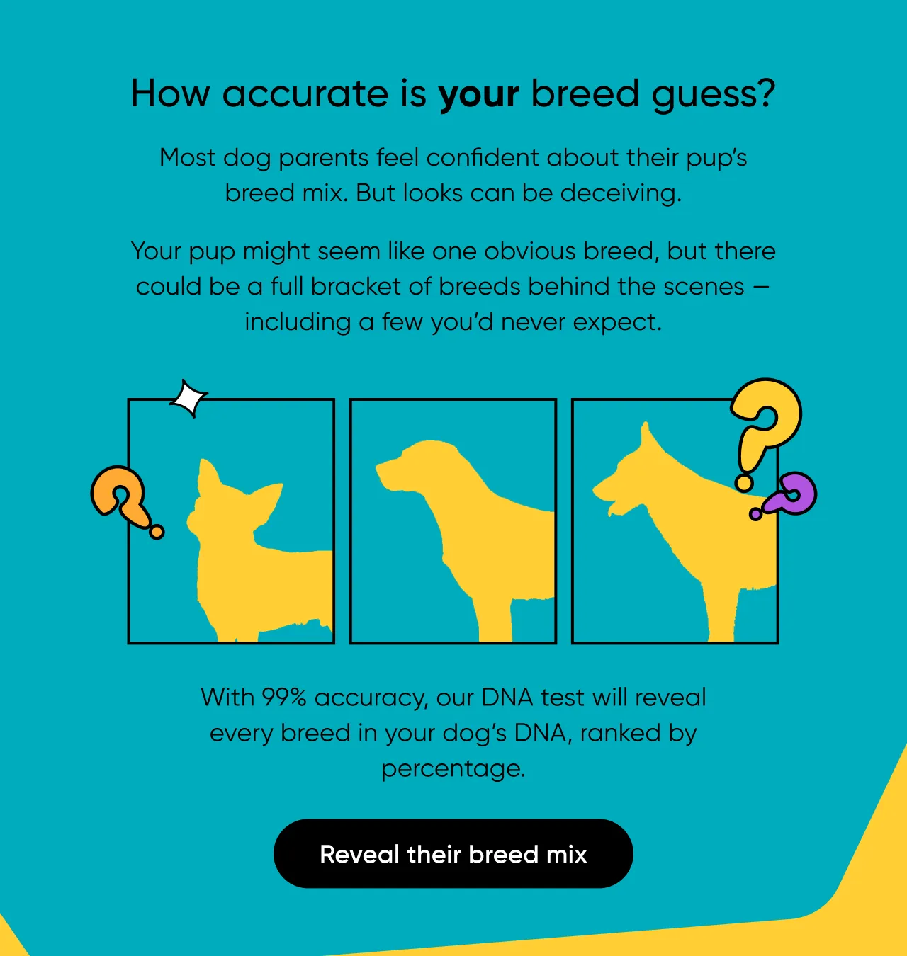 How accurate is your breed guess? Most dog parents feel confident about their pup's breed mix. But looks can be deceiving. Your pup might seem like one obvious breed, but there could be a full bracket of breeds behind the screens. including a few you'd never expect. With 99% accuracy, our DNA test will reveal every breed in your dog's DNA, ranked by percentage. Reveal their breed mix.