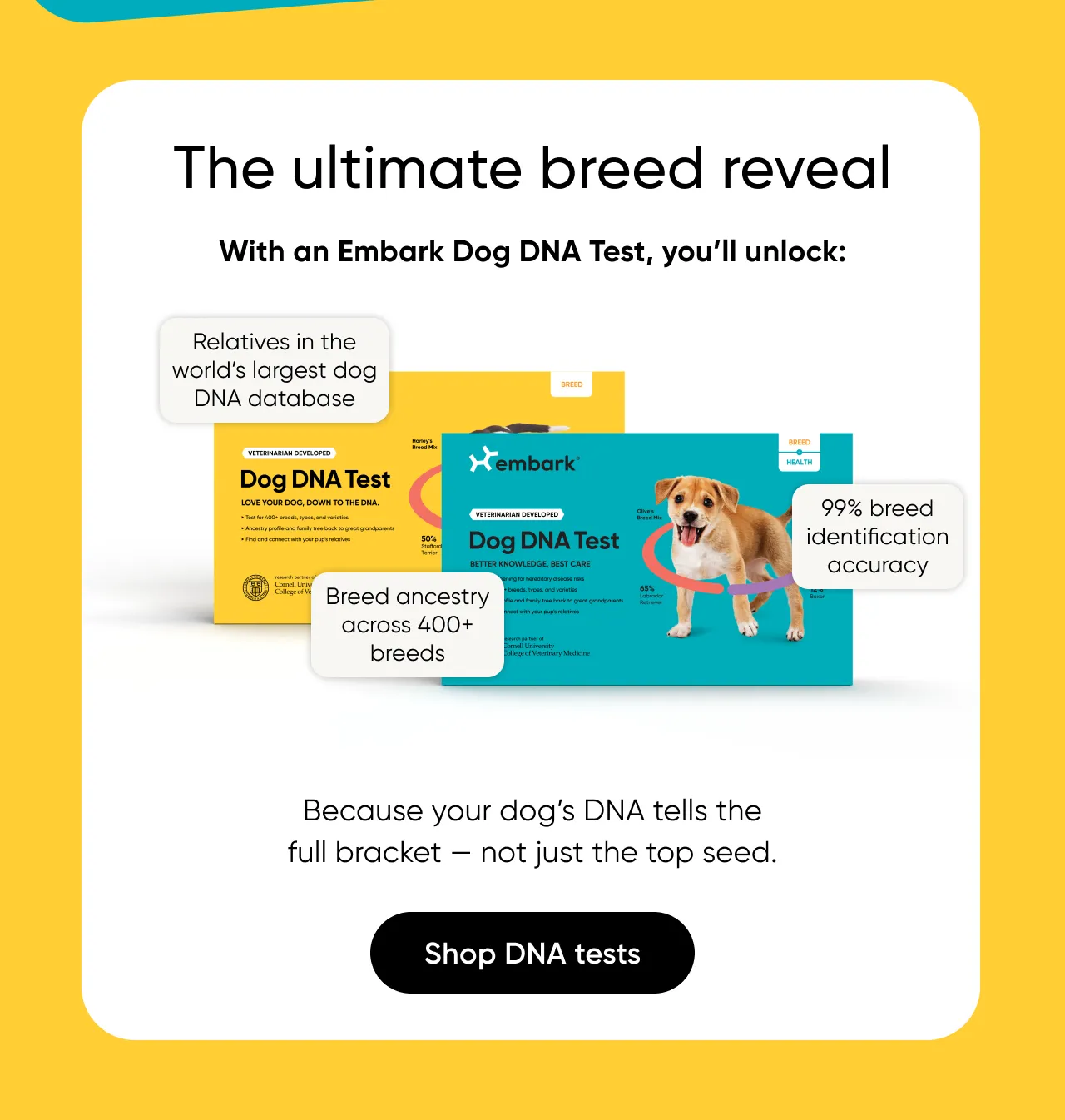 The ultimate breed reveal. With an Embark Dog DNA Test, you'll unlock relatives in the world's largest dog DNA database, 99% breed identification accuracy, breed ancestry across 400+ breeds. Because your dog's DNA tells the full bracket, not just the top seed/ Shop DNA tests.