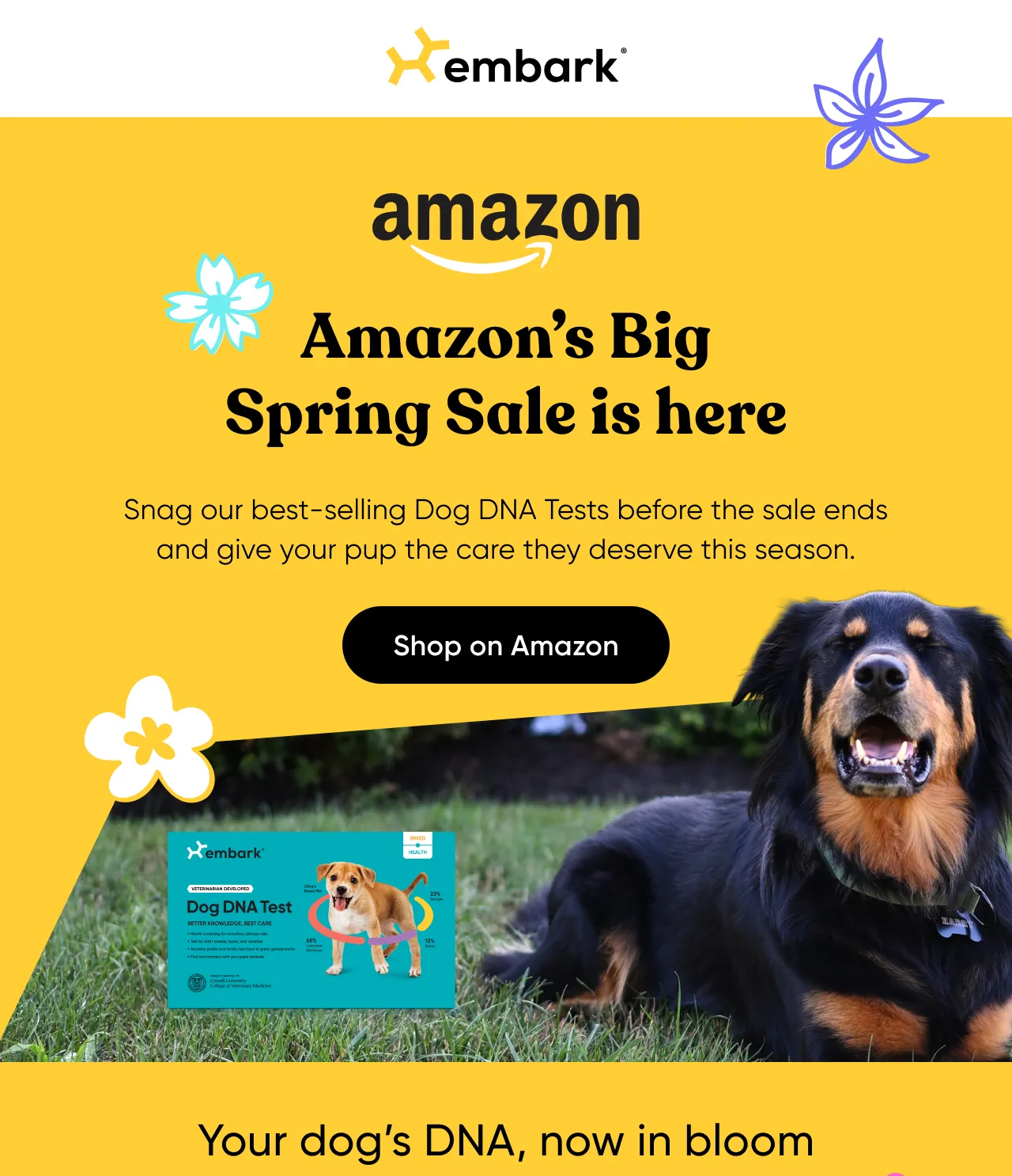 Amazon's Big Spring Sale is here. Snag our best-selling Dog DNA Tests before the sale ends and give your pup the care they deserve this season. Shop on Amazon