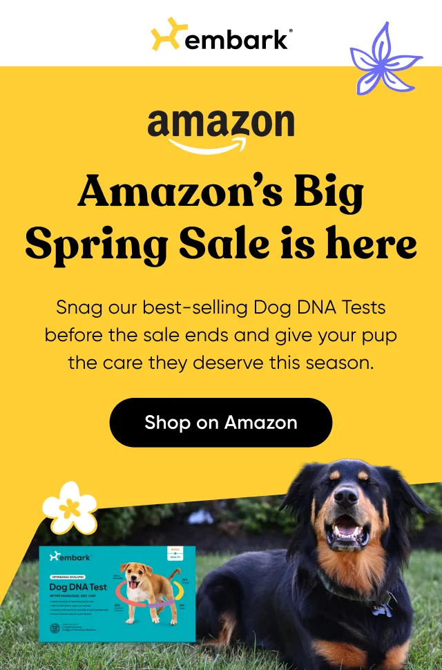 Amazon's Big Spring Sale is here. Snag our best-selling Dog DNA Tests before the sale ends and give your pup the care they deserve this season. Shop on Amazon