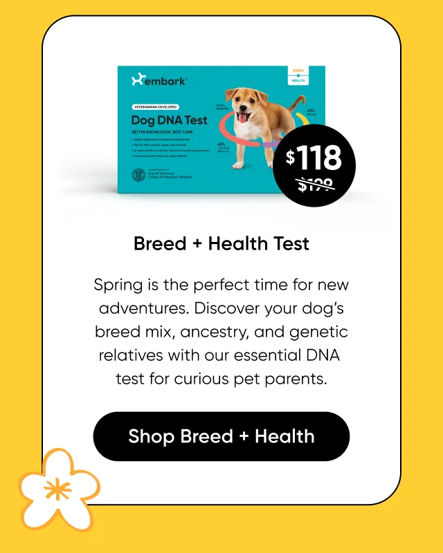Breed + Health Test: get your dog ready for the season ahead. This comprehensive DNA test screens for 270+ genetic health conditions while revealing their breed mix, traits, allergy risks, and canine relatives. 