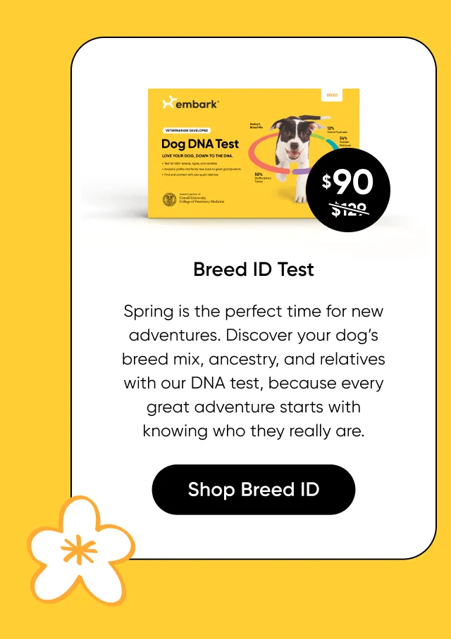 Breed ID Test: spring is the perfect time for new adventures. Discover your dog's breed mix, ancestry, and relatives with our DNA test, because every great adventure starts with knowing who they really are.