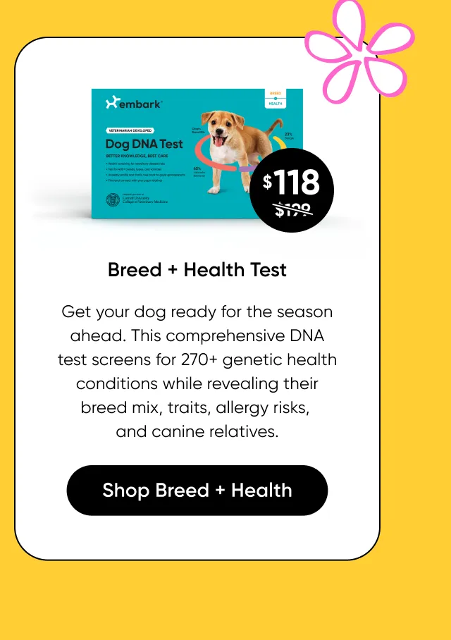 Breed + Health Test: get your dog ready for the season ahead. This comprehensive DNA test screens for 270+ genetic health conditions while revealing their breed mix, traits, allergy risks, and canine relatives. 