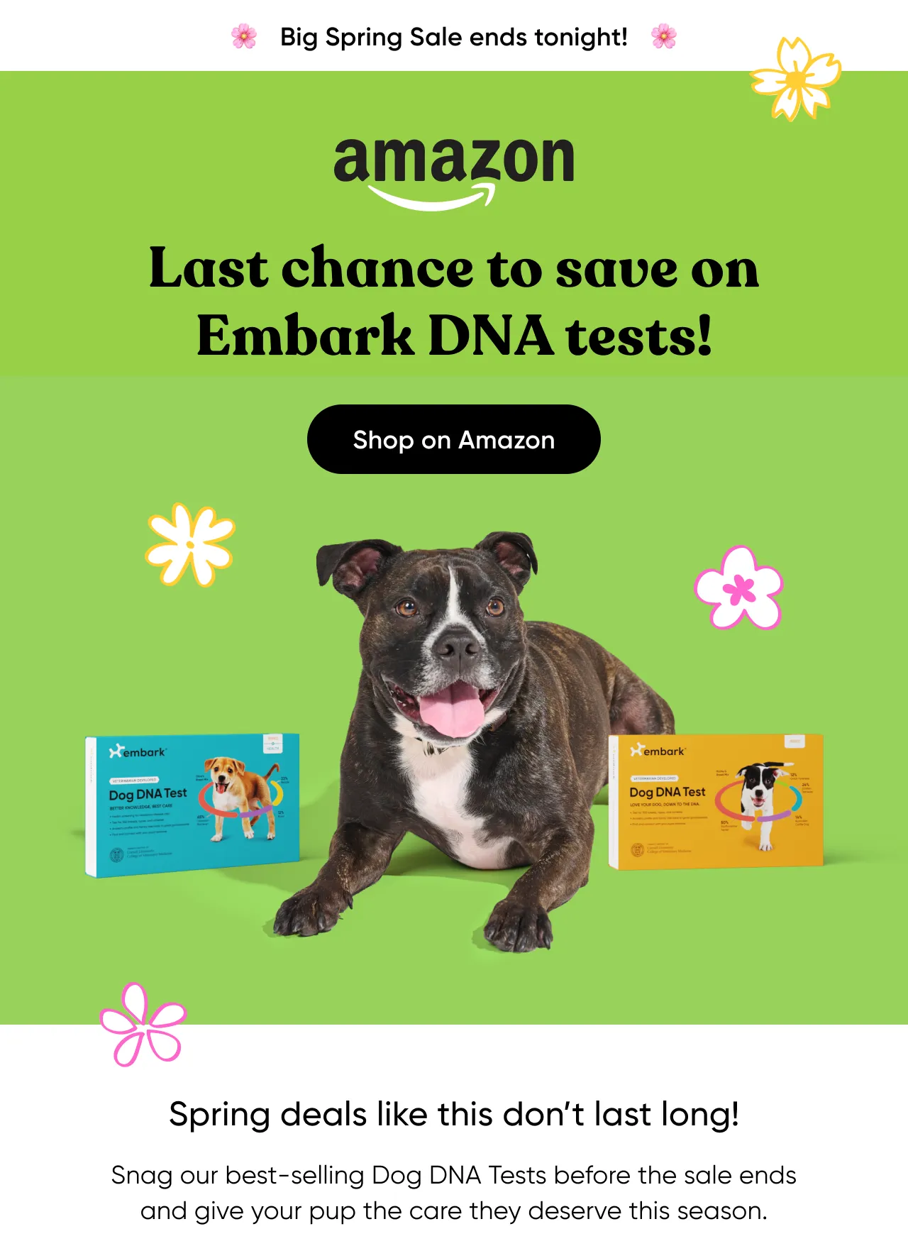 Big Spring Sale ends tonight! Last chance to save on Embark DNA tests! Shop on Amazon