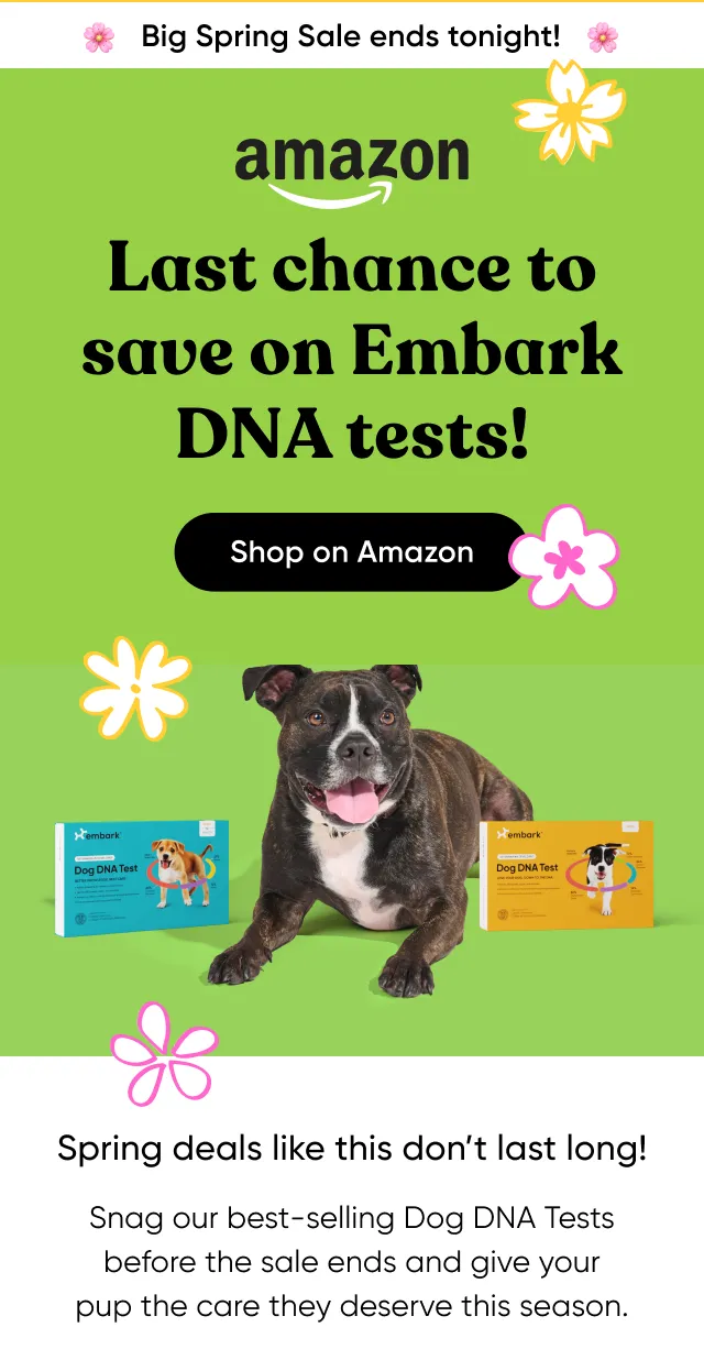 Big Spring Sale ends tonight! Last chance to save on Embark DNA tests! Shop on Amazon