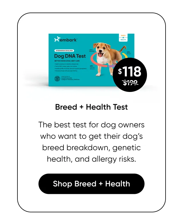 Breed + Health Test: the best test for dog owners who wants to get their dog's breed breakdown, genetic health, and allergy risks. 