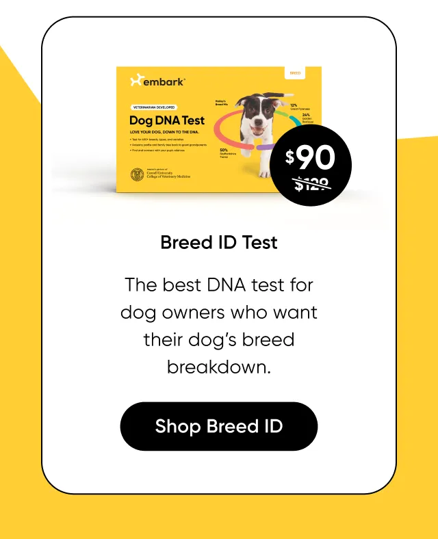 Breed ID Test: the best DNA test for dog owners who want their dog's breed breakdown.