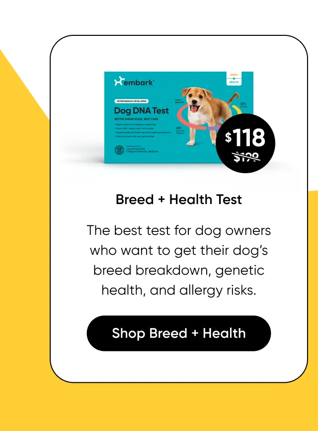 Breed + Health Test: the best test for dog owners who wants to get their dog's breed breakdown, genetic health, and allergy risks. 