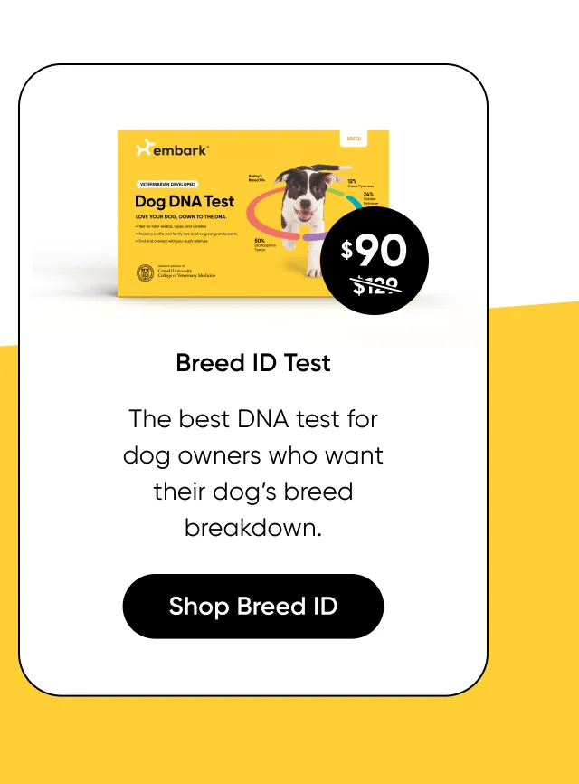Breed ID Test: the best DNA test for dog owners who want their dog's breed breakdown.