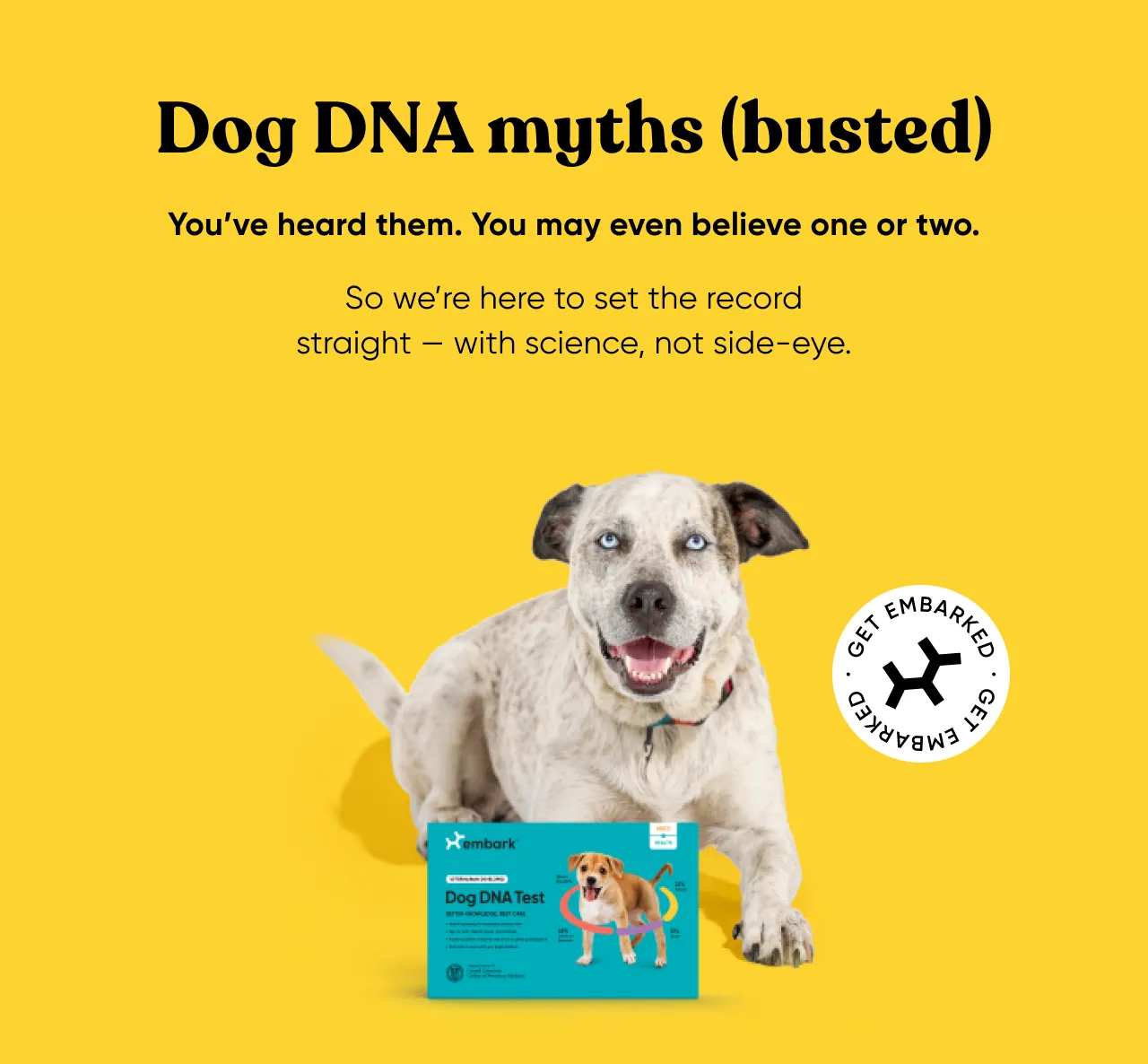 Dog DNA myths (busted). You've heard them. You may even believe one or two. So we're here to set the record straight—with science, not side-eye.