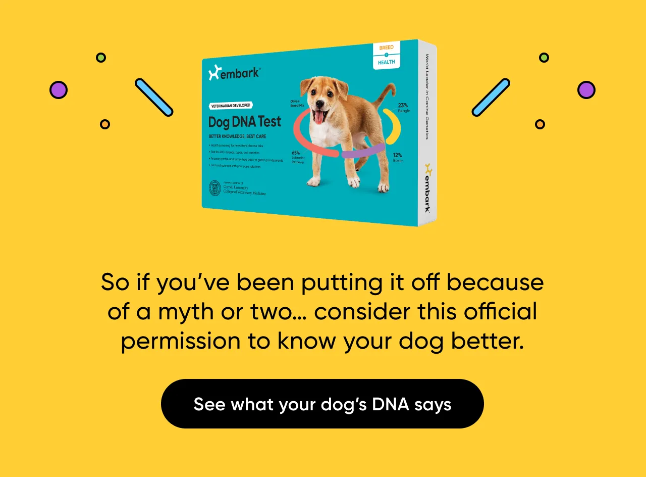 So if you've been putting it off because of a myth or two.. consider this official permission to know your dog better. See what your dog's DNA says.