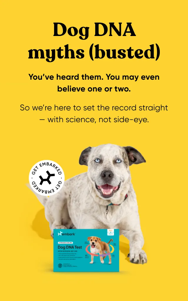 Dog DNA myths (busted). You've heard them. You may even believe one or two. So we're here to set the record straight—with science, not side-eye.