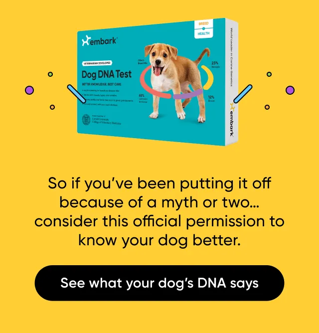 So if you've been putting it off because of a myth or two.. consider this official permission to know your dog better. See what your dog's DNA says.