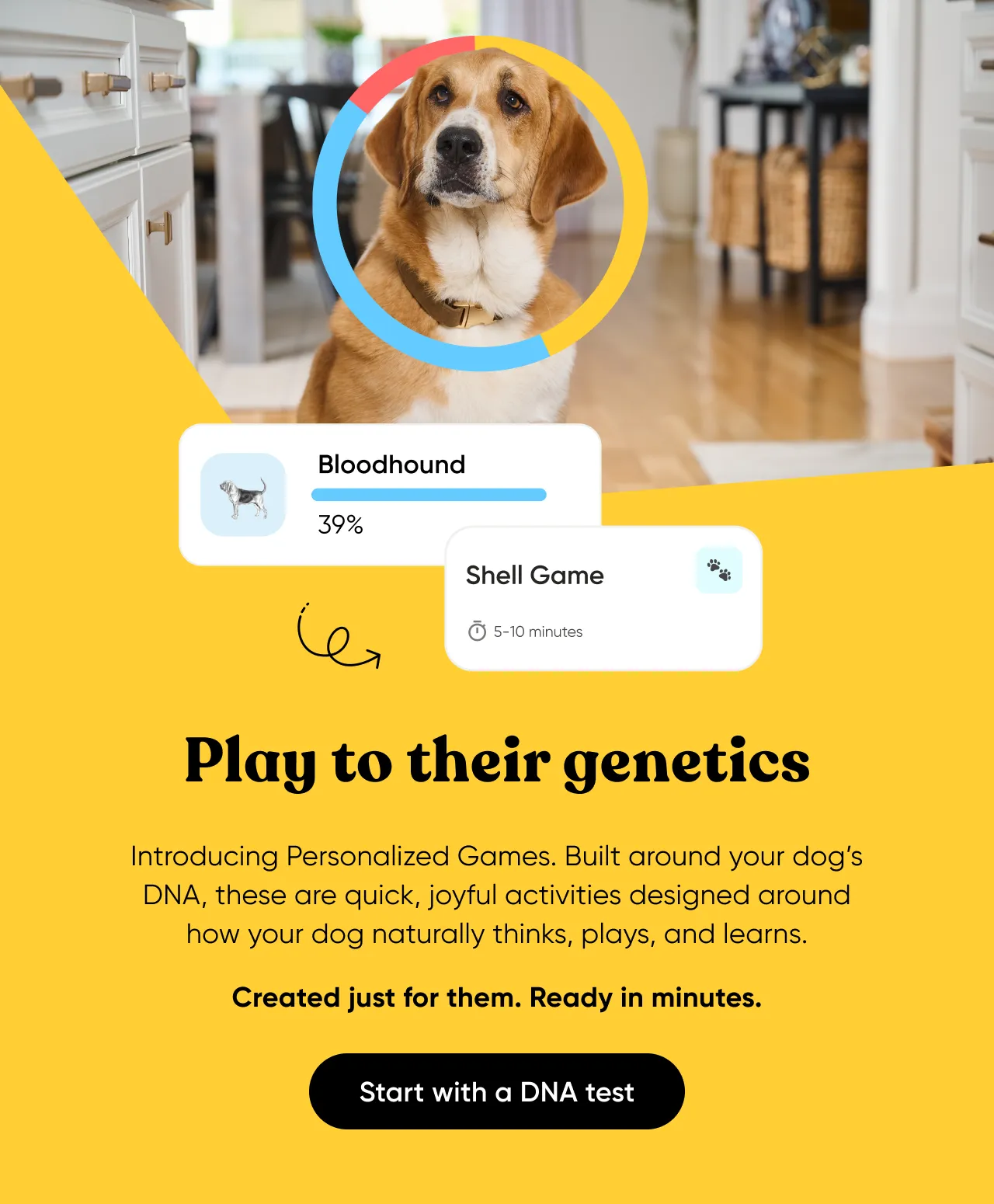 Play to their genetics. Introducing Personalized Games. Built around your dog's DNA< these are quick, joyful activities designed around how your dog naturally thinks, plays, and learns. Create just for them. Ready in minutes. Start with a DNA test.