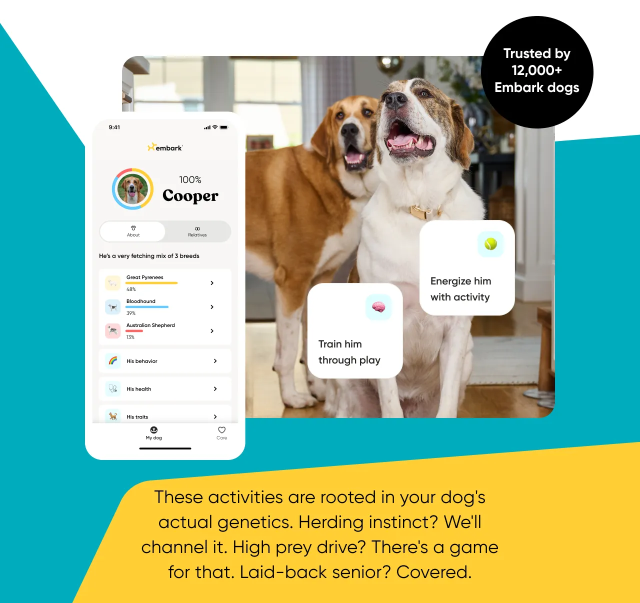 These activities are rooted in your dog's actual genetics. Herding instinct? We'll channel it. High prey drive? There's a game for that. Laid-back senior? Covered.