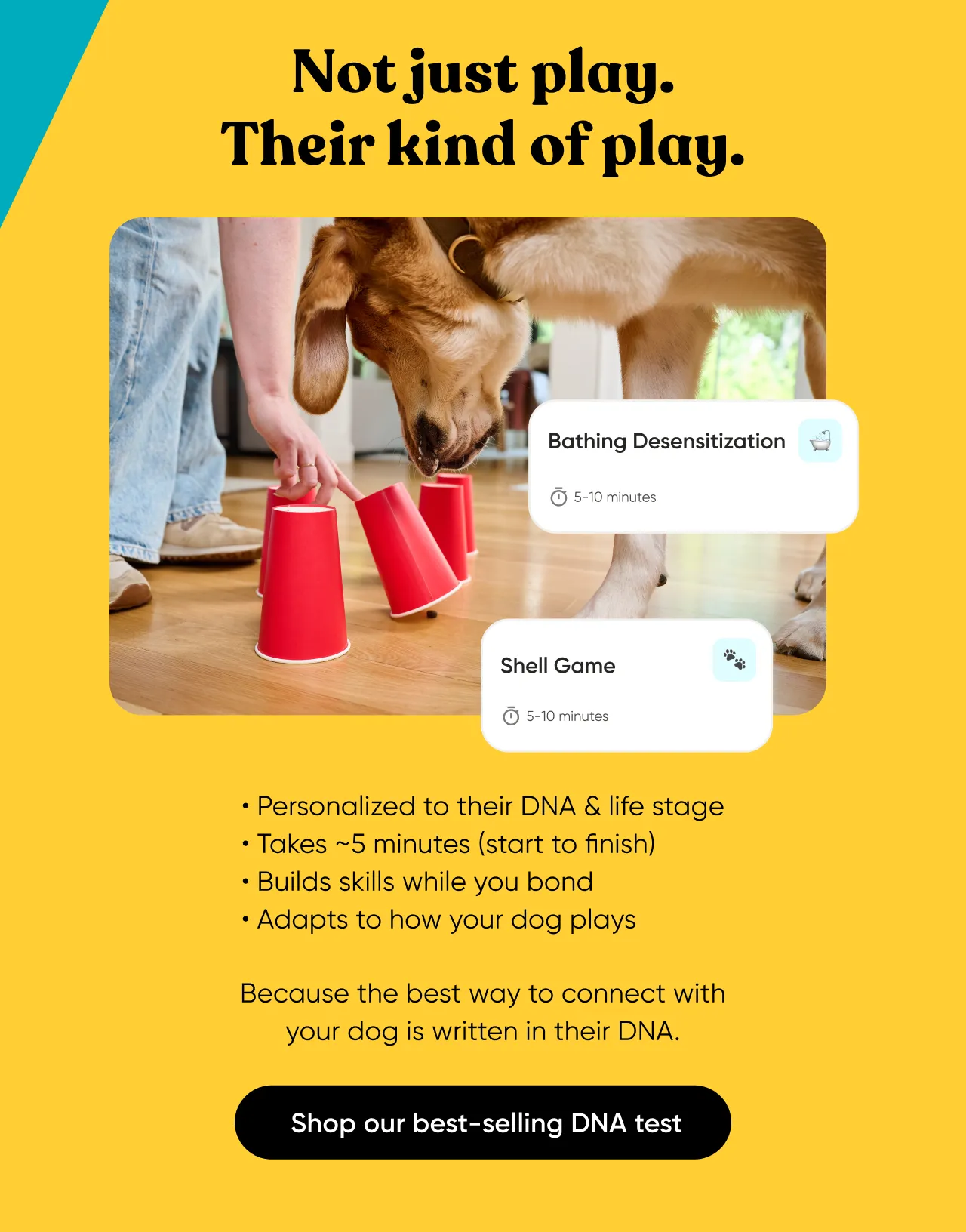 Not just play. Their kind of play. Personalized to their DNA & life stage. Takes ~5 minutes. Builds skills while you bond. Adapts to how your dog plays. Because the best wau to connect with your dog is written in their DNA.