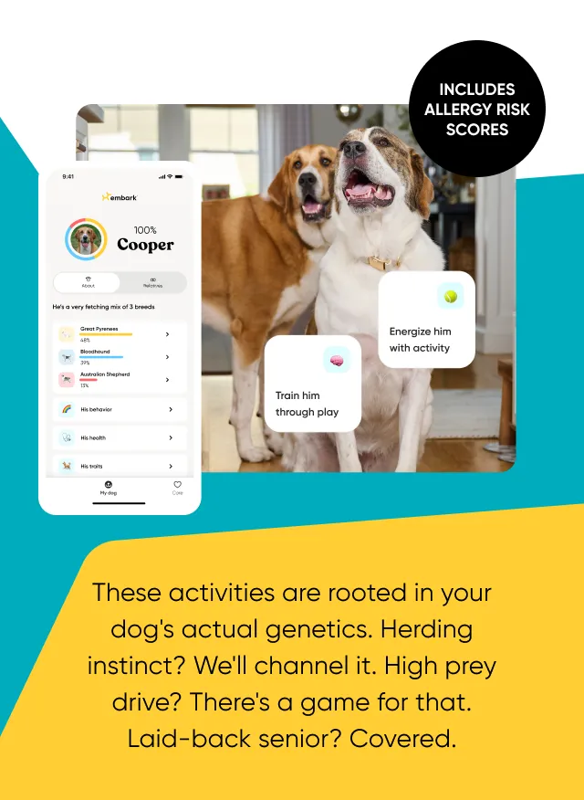 These activities are rooted in your dog's actual genetics. Herding instinct? We'll channel it. High prey drive? There's a game for that. Laid-back senior? Covered.