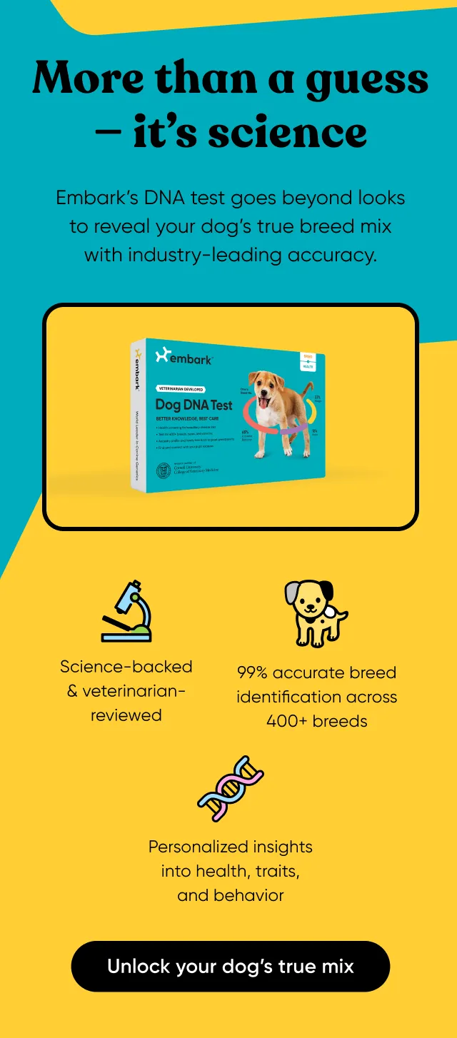 More than a guess—it's science. Embark's DNA test goes beyond looks to reveal your dog's tree breed mix wit industry-leading accuracy. Unlock your dog's true mix.