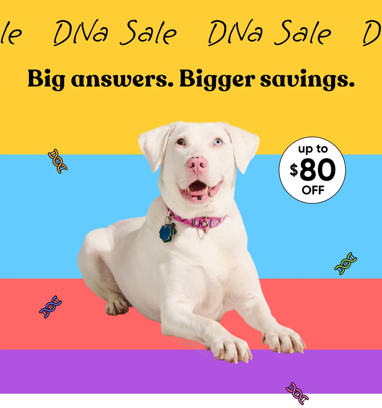 DNA Sale! Big answers. Bigger savings. Up to $80 off. Shop DNA Sale.