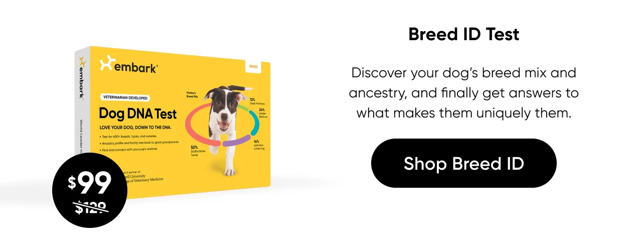 Discover your dog's breed mix and ancestry, and finally get answers to what makes them uniquely them. Shop Breed ID Test.