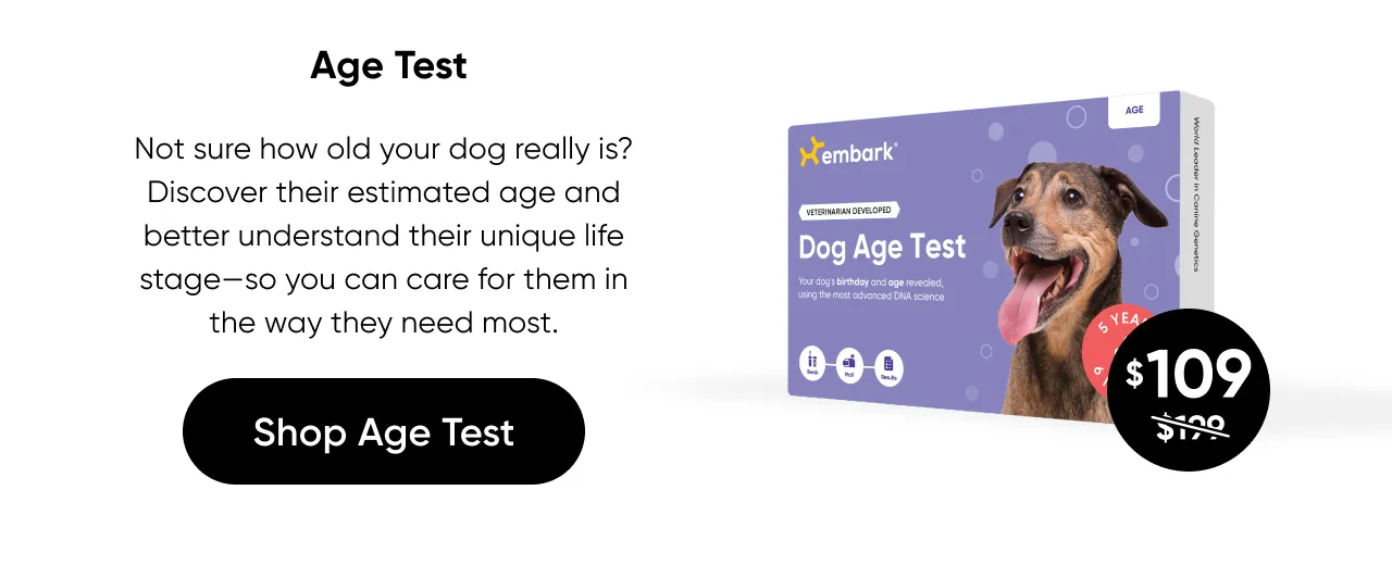 Not sure how old your dog really is? Discover their estimated age and better understand their unique life stage—so you can care for the, in the way they need most. Shop Age Test.