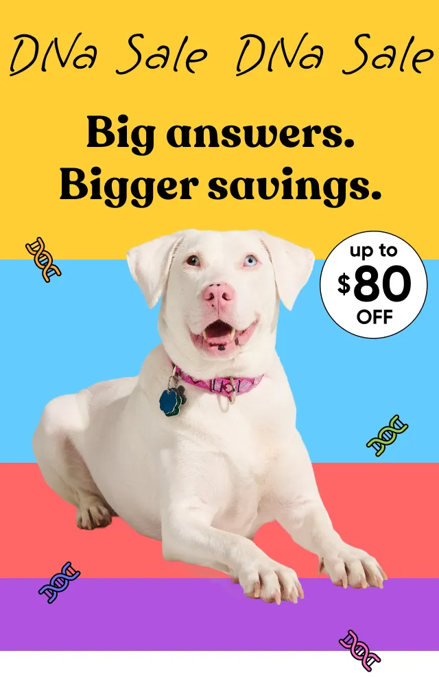 DNA Sale! Big answers. Bigger savings. Up to $80 off. Shop DNA Sale.