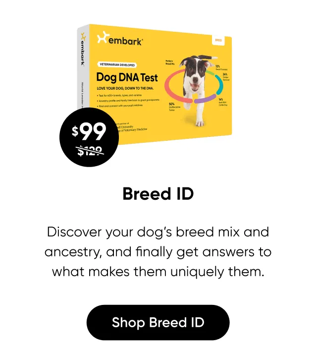 Discover your dog's breed mix and ancestry, and finally get answers to what makes them uniquely them. Shop Breed ID Test.