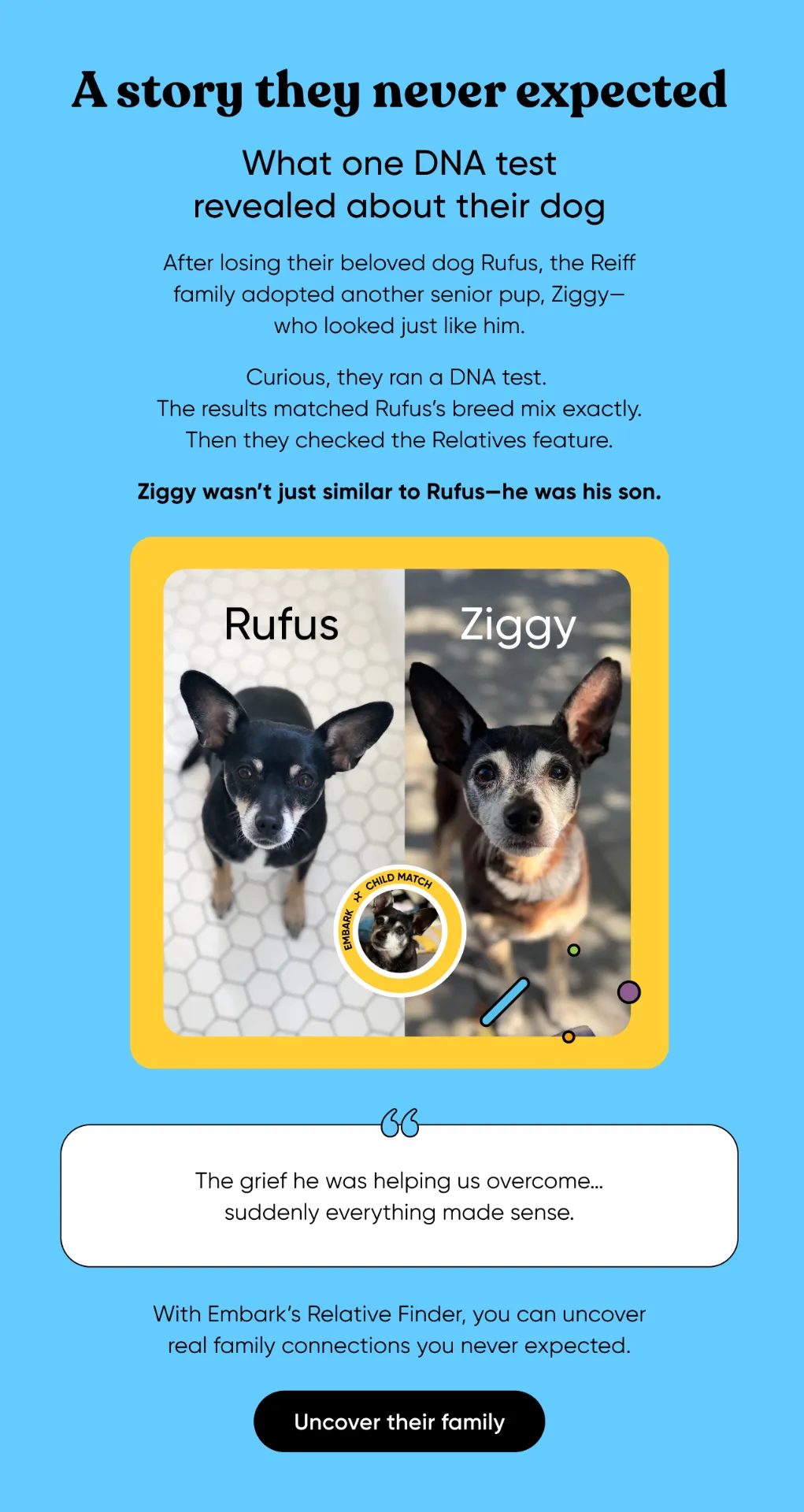 A story they never expected. What one DNA test revealed about their dog. After losing their beloved dog Rufus, the Reiff family adopted another senior pup, Ziggy, who looked just like Rufus. Curious, they DNA tested Ziggy. The results matched Rufus's breed mix exactly. Then they checked the Relatives finder. Ziggy wasn't just similar to Rufus—he was his son. With Embark's relative Finder, you can uncover real family connections you never expected. Uncover their family.