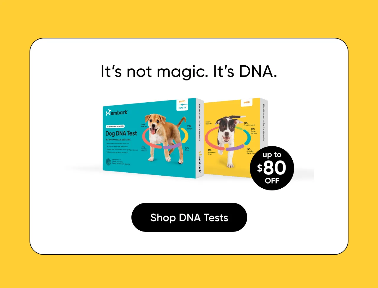 It's not magic. It's DNA. Shop DNA Tests.
