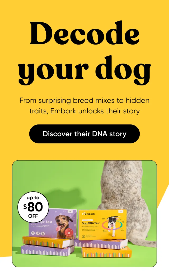Decode your dog. From surprising breed mixes to hidden traits, Embark unlocks their story. Discover their DNA story.
