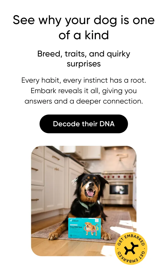 See why your dog is one of a kind. Breed, traits, and quirky surprises. Every habit, every instinct has a root. Embark reveals it all, giving you answers and a deeper connection. Decode their DNA.