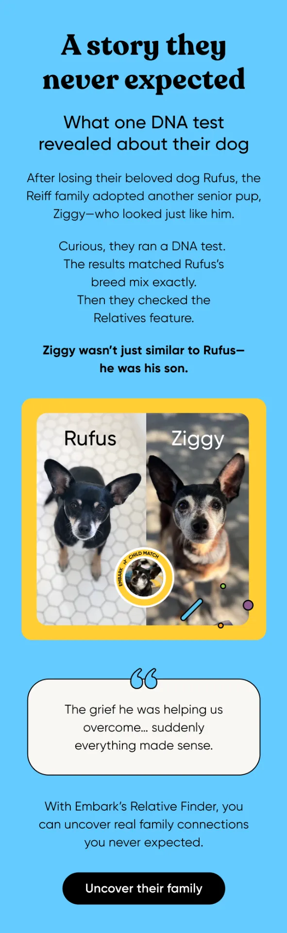 A story they never expected. What one DNA test revealed about their dog. After losing their beloved dog Rufus, the Reiff family adopted another senior pup, Ziggy, who looked just like Rufus. Curious, they DNA tested Ziggy. The results matched Rufus's breed mix exactly. Then they checked the Relatives finder. Ziggy wasn't just similar to Rufus—he was his son. With Embark's relative Finder, you can uncover real family connections you never expected. Uncover their family.