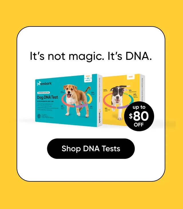 It's not magic. It's DNA. Shop DNA Tests.
