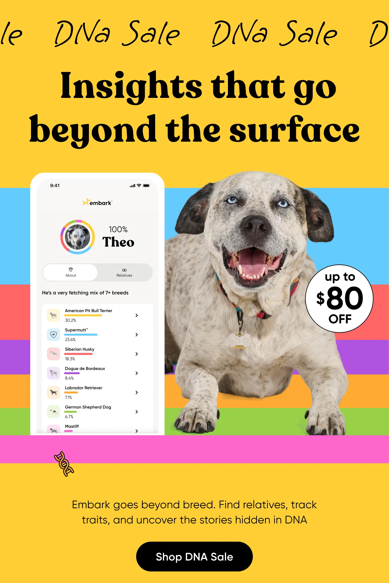 Insights that go beyond the surface. Embark goes beyond breed. Find relatives, track traits, and uncover the stories hidden in their DNA. Shop DNA Sale