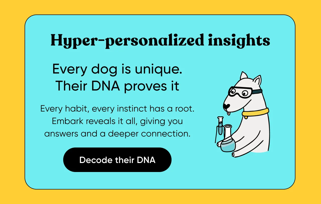 Hyper-personalization insights. Every dog is unique. Their DNA proves it. Every habit. every instinct has a root. Embark reveals it all, giving you answers and a deeper connection. Decode their DNA.