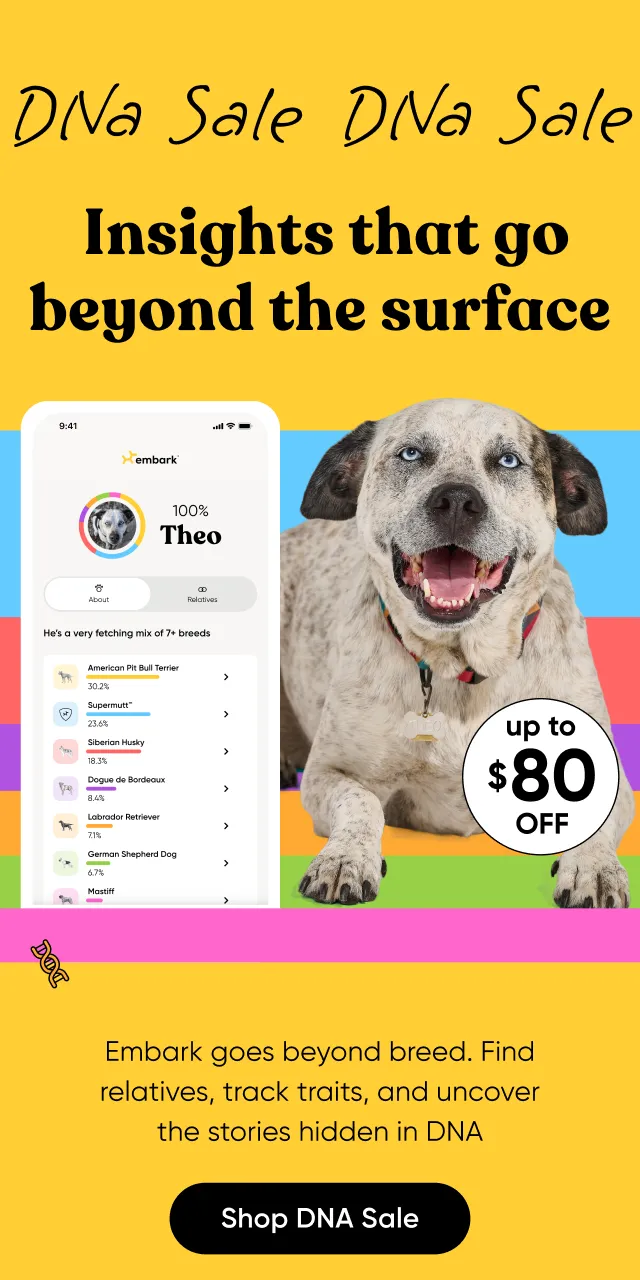 Insights that go beyond the surface. Embark goes beyond breed. Find relatives, track traits, and uncover the stories hidden in their DNA. Shop DNA Sale