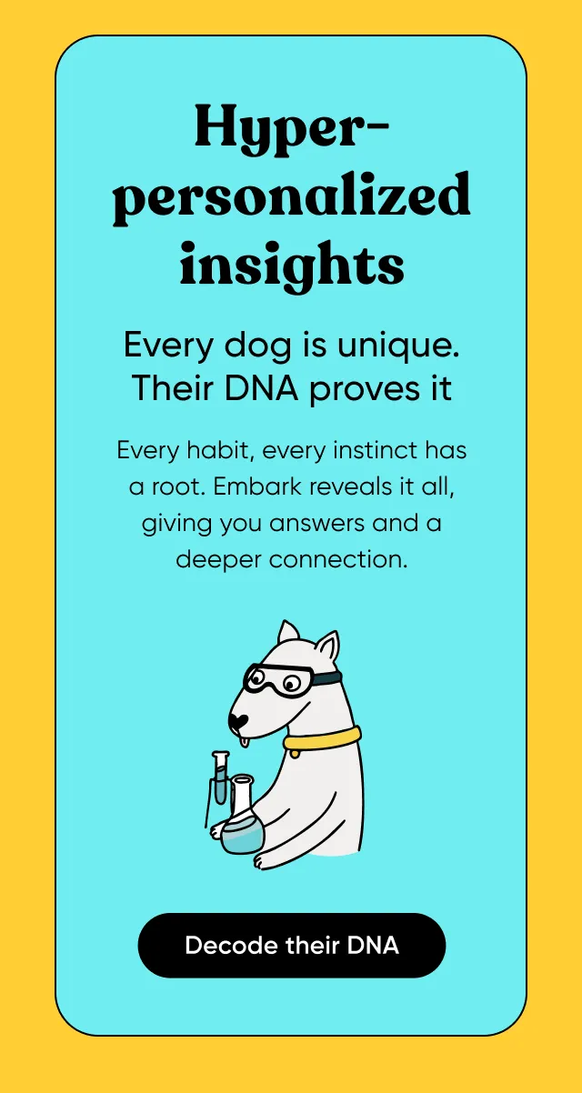 Hyper-personalization insights. Every dog is unique. Their DNA proves it. Every habit. every instinct has a root. Embark reveals it all, giving you answers and a deeper connection. Decode their DNA.