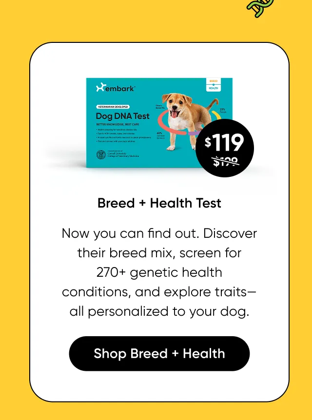 Discover their breed mix, screen for 270+ genetic health, conditions, and explore traits—all personalized to your dog. Shop Breed + Health Test.
