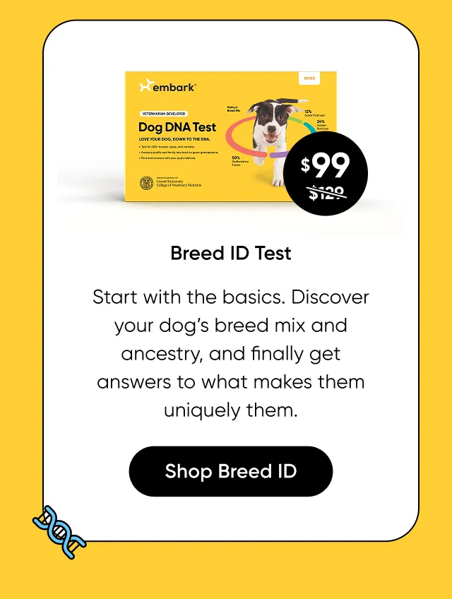 Start with the basics. Discover your dog's breed mix and ancestry, and finally get answers to what makes them uniquely them. Shop Breed ID Test.